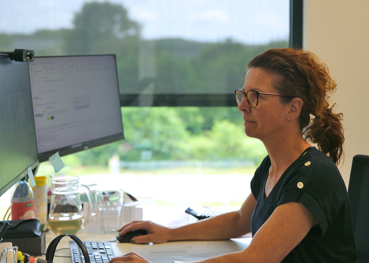 Wat doet de sales afdeling van Holbox Shop Direct