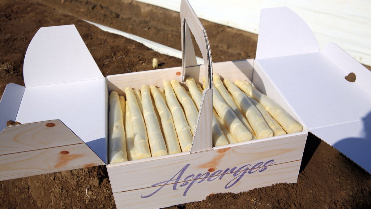 Geschenkkorb für Spargel, Spargelverpackung, Spargelkiste, Spargelverpackungen, Spargelkarton, Kiste für Spargel, Geschenkverpackung Spargel, Werbematerial