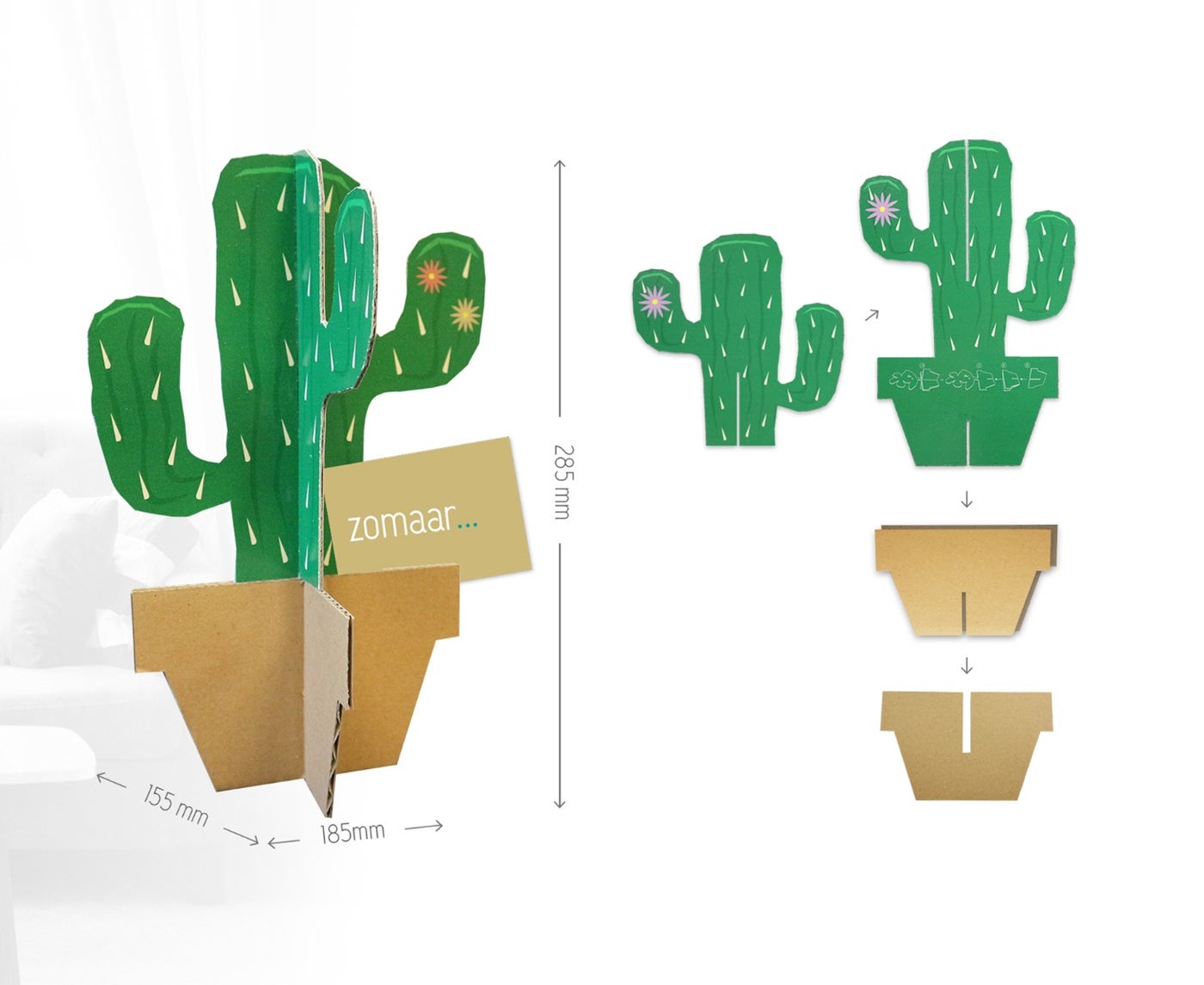 Kaktus, Blumen aus Pappe, Kaktus aus Pappe, Papp-Kaktus, Pappblume, werbematerial, werbegeschenke
