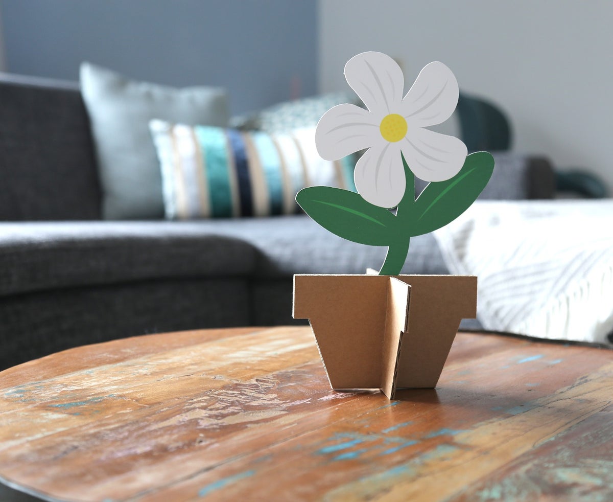 gänseblümchen, gänseblümchen aus pappe, pappblume, blume aus pappe, blumengeschenk, werbematerial