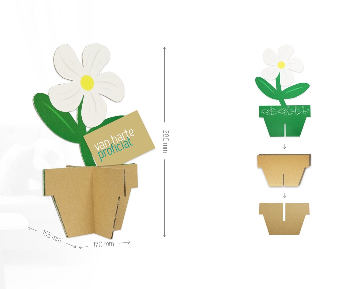 gänseblümchen, gänseblümchen aus pappe, pappblume, blume aus pappe, blumengeschenk, werbematerial