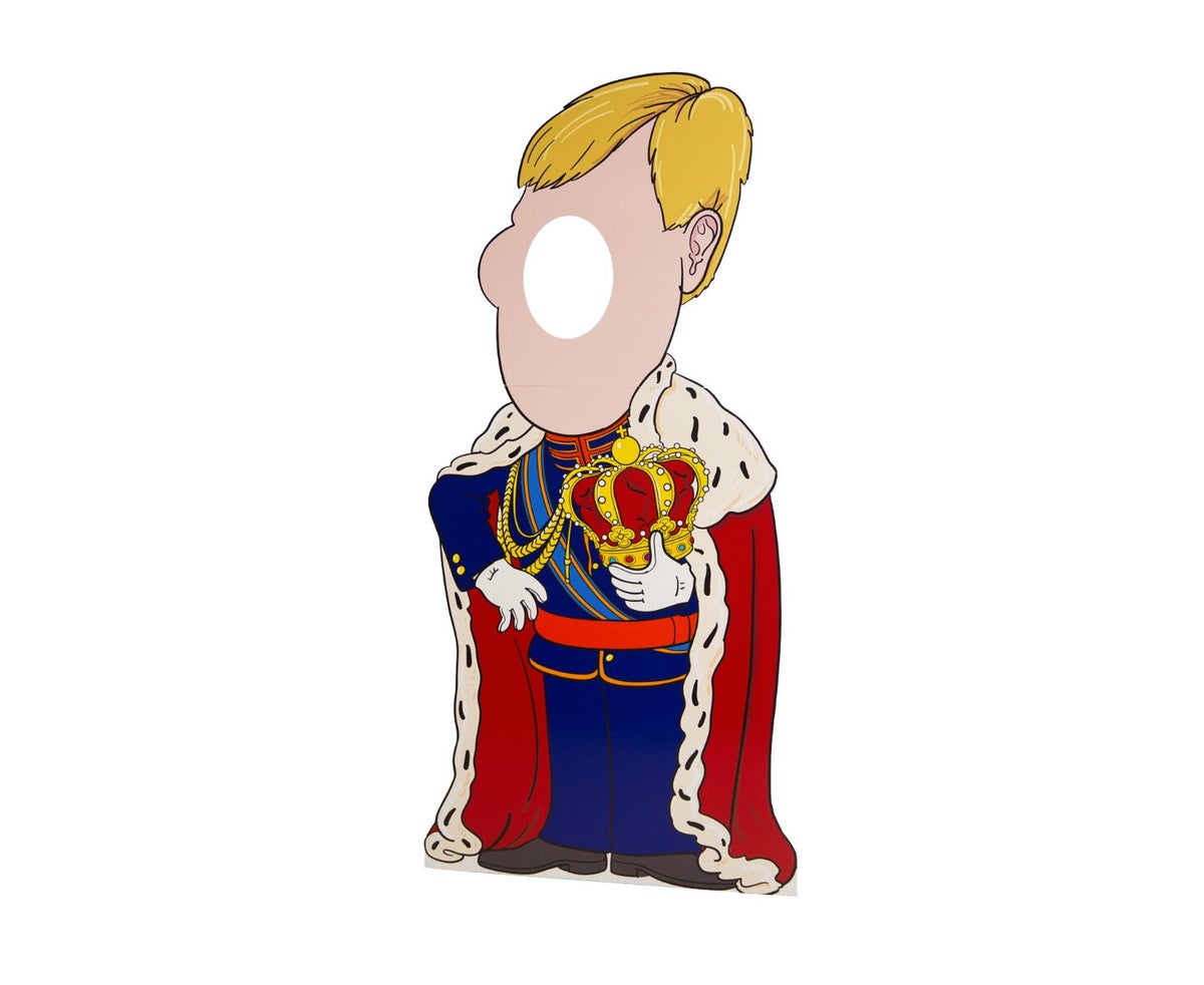 Stand-in Koning Willem-Alexander